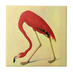 Audubon American Flamingo Painting Fliese