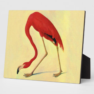 Audubon American Flamingo Painting Fotoplatte