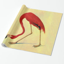 Audubon American Flamingo Painting