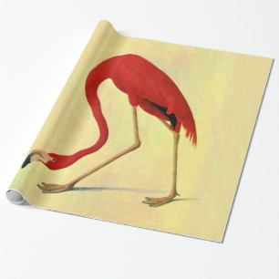Audubon American Flamingo Painting Geschenkpapier