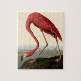 Audubon American Flamingo Puzzle