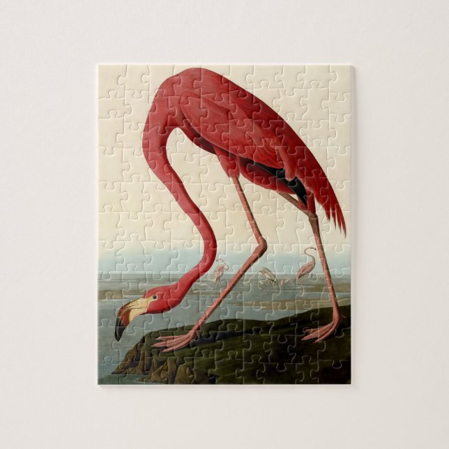Audubon American Flamingo Puzzle (Vertikal)