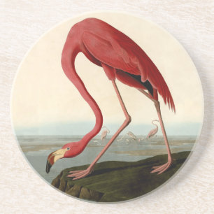 Audubon American Flamingo Sandstein Untersetzer