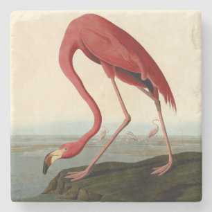 Audubon American Flamingo Steinuntersetzer
