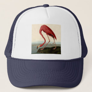 Audubon American Flamingo Truckerkappe