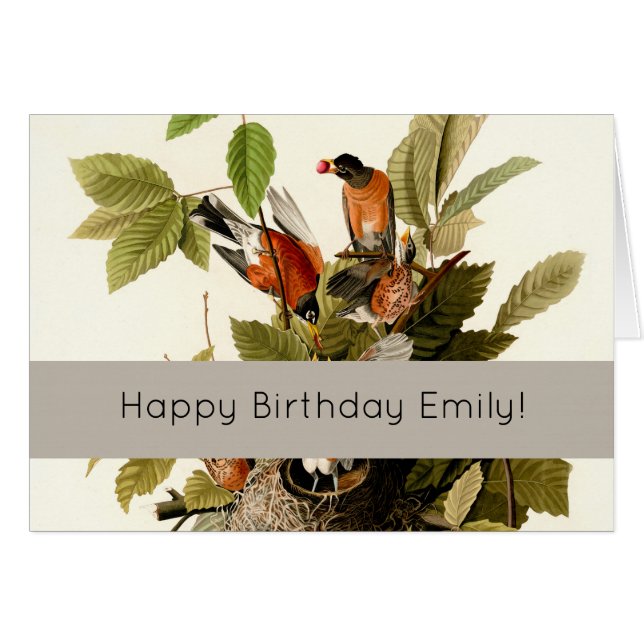 Audubon American Robin Wildlife Bird Illustration (Vorderseite (Horizontal))