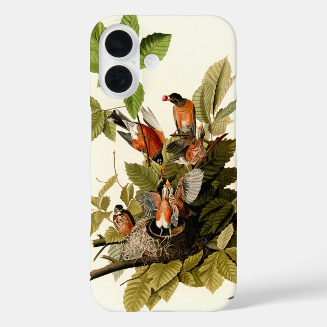 Audubon American Robin Wildlife Bird Illustration Case-Mate iPhone Hülle (Rückseite)