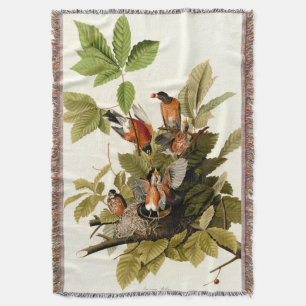 Audubon American Robin Wildlife Bird Illustration Decke