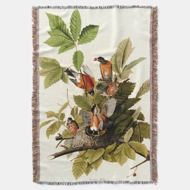 Audubon American Robin Wildlife Bird Illustration Decke (Vorderseite Vertikal)