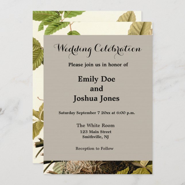 Audubon American Robin Wildlife Bird Illustration Einladung (Vorne/Hinten)