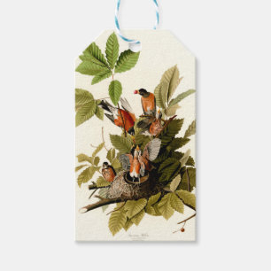 Audubon American Robin Wildlife Bird Illustration Geschenkanhänger