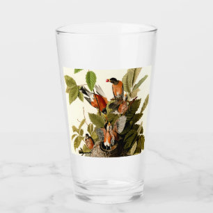 Audubon American Robin Wildlife Bird Illustration Glas