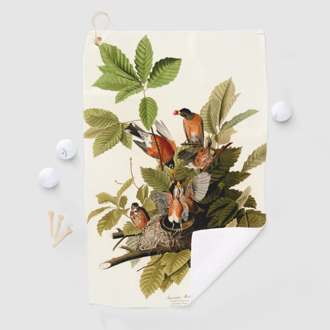 Audubon American Robin Wildlife Bird Illustration Golfhandtuch (Insitu)