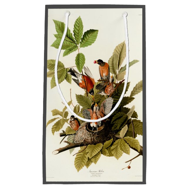 Audubon American Robin Wildlife Bird Illustration Kleine Geschenktüte (Vorderseite)