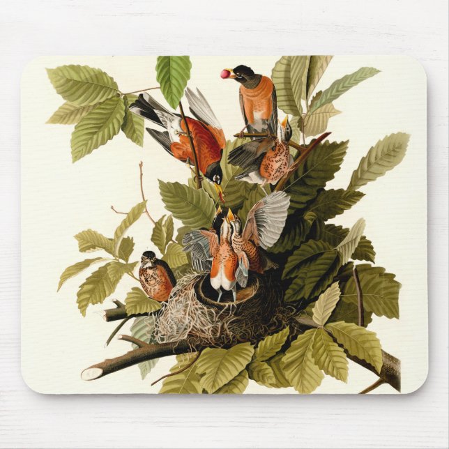 Audubon American Robin Wildlife Bird Illustration Mousepad (Vorne)
