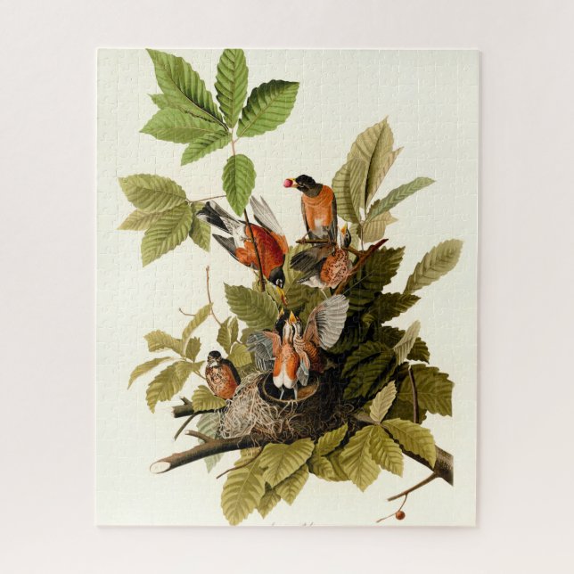 Audubon American Robin Wildlife Bird Illustration Puzzle (Vertikal)