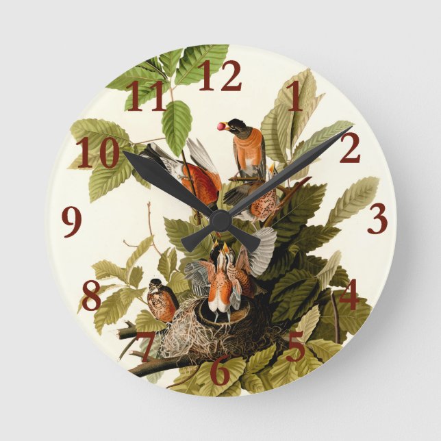 Audubon American Robin Wildlife Bird Illustration Runde Wanduhr (Vorderseite)