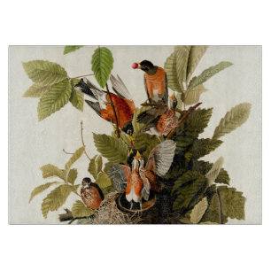 Audubon American Robin Wildlife Bird Illustration Schneidebrett