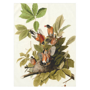 Audubon American Robin Wildlife Bird Illustration Tischdecke