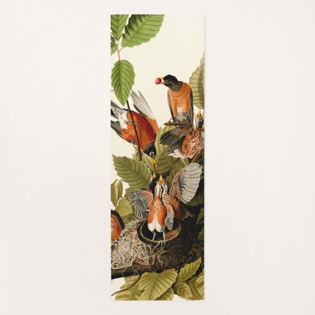 Audubon American Robin Wildlife Bird Illustration Yogamatte (Vorderseite)