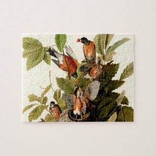 Audubon American Robin Wildlife Bird Puzzle