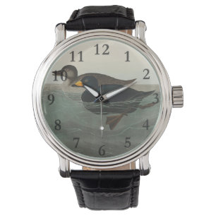 Audubon American Scoter Duck Armbanduhr