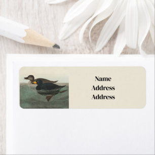 Audubon American Scoter Duck Classic
