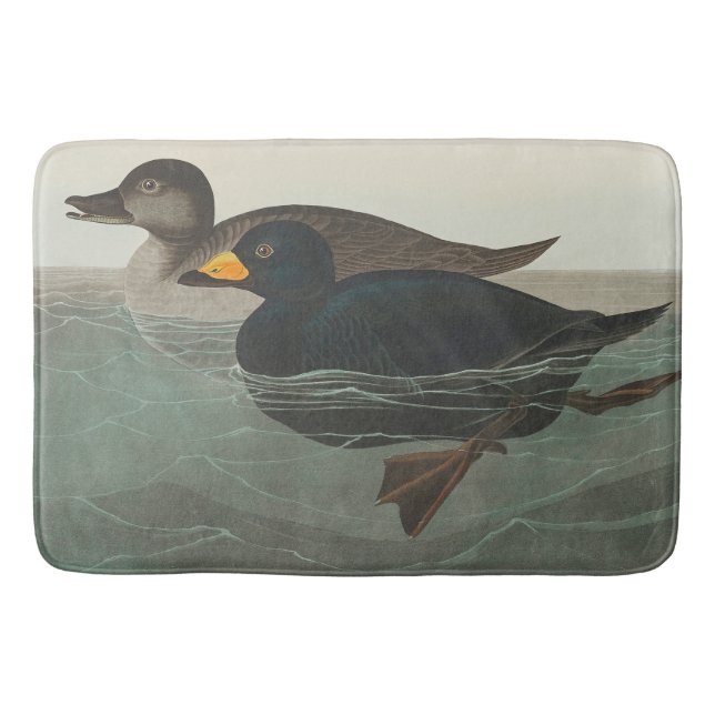 Audubon American Scoter Duck Classic Badematte (Vorderseite)