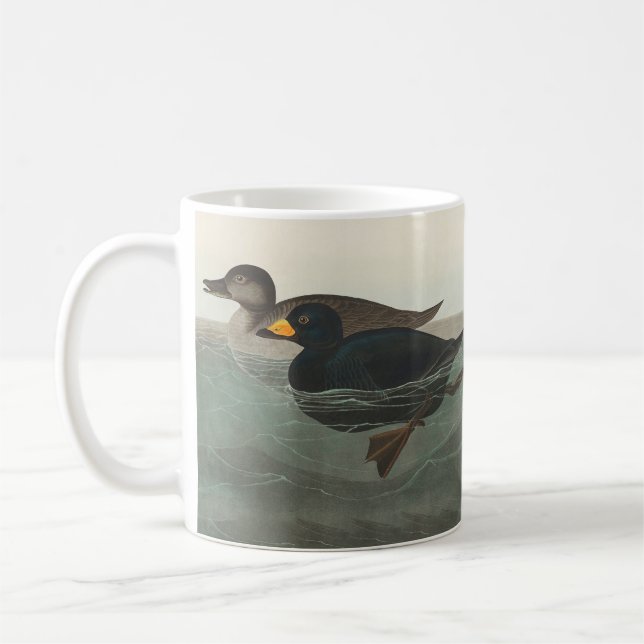 Audubon American Scoter Duck Classic Kaffeetasse (Links)