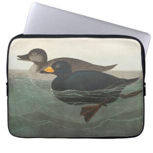 Audubon American Scoter Duck Classic Laptopschutzhülle