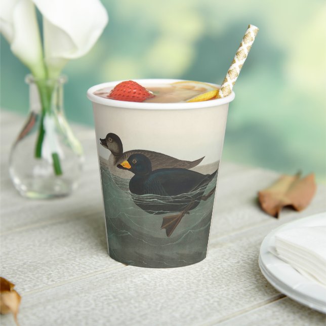 Audubon American Scoter Duck Classic Pappbecher (In Situ)