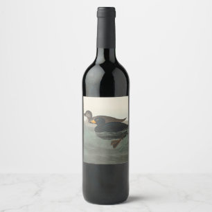 Audubon American Scoter Duck Classic Weinetikett