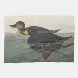 Audubon American Scoter Duck Geschirrtuch