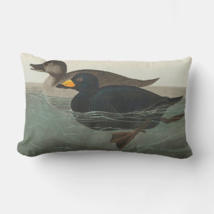 Audubon American Scoter Duck Lendenkissen
