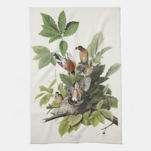 Audubon American Spring Robin Bird Illustration Geschirrtuch