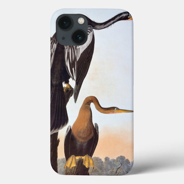 Audubon: Anhinga Case-Mate iPhone Hülle (Rückseite)