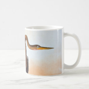 Audubon: Anhinga Kaffeetasse