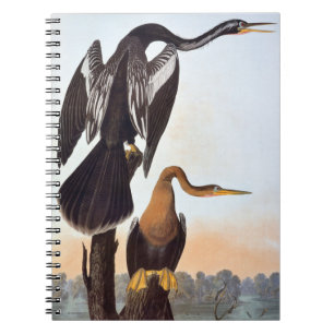 Audubon: Anhinga Notizblock