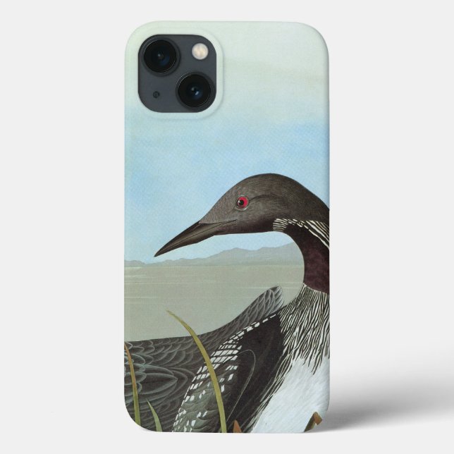 Audubon: Arktischer Loon Case-Mate iPhone Hülle (Rückseite)