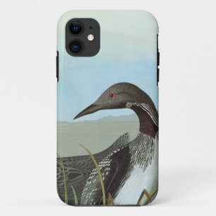 Audubon: Arktischer Loon Case-Mate iPhone Hülle