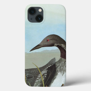 Audubon: Arktischer Loon Case-Mate iPhone Hülle