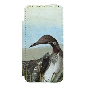 Audubon: Arktischer Loon Incipio Watson™ iPhone 5 Geldbörsen Hülle