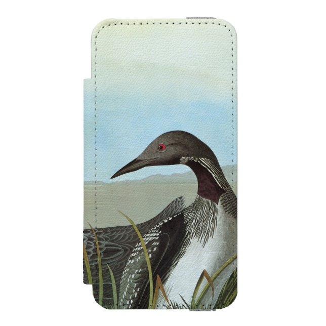 Audubon: Arktischer Loon Incipio iPhone Geldbeutel-Hülle (Folio Vorderseite)