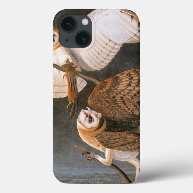 Audubon: Barschüssel Case-Mate iPhone Hülle (Rückseite)