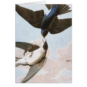 Audubon: Baum-Schwalbe