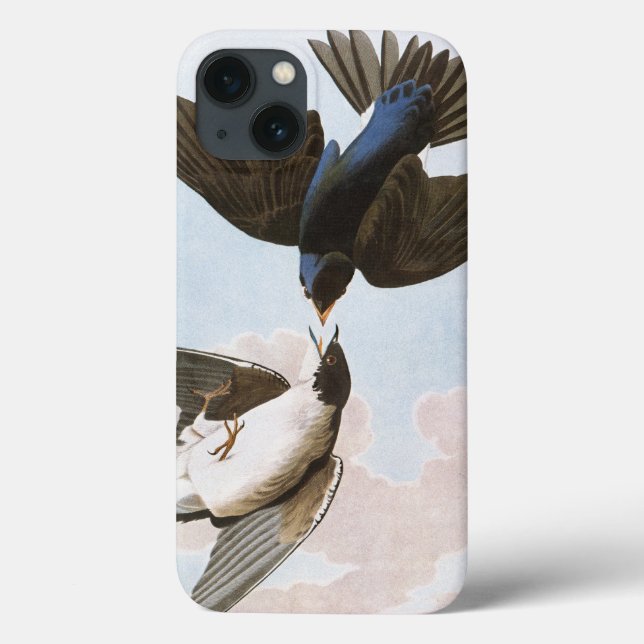 Audubon: Baum-Schwalbe Case-Mate iPhone Hülle (Rückseite)