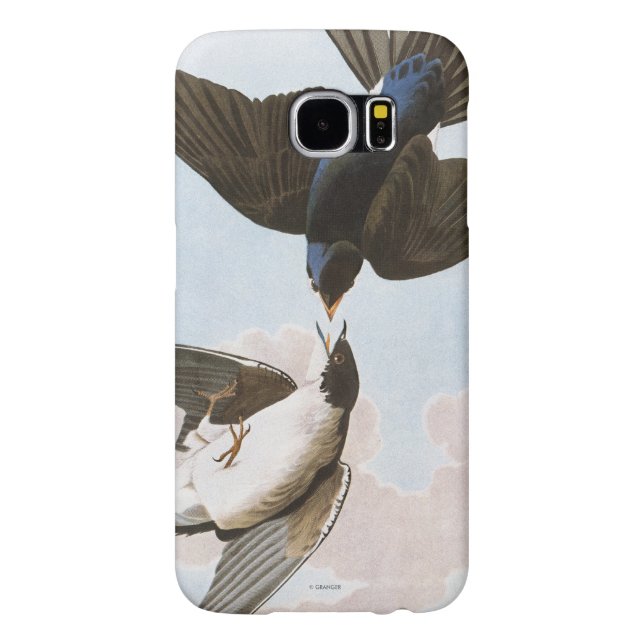 Audubon: Baum-Schwalbe Case-Mate Samsung Galaxy Hülle (Rückseite)