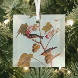 Audubon Bay Breasted Warbler Bird auf Baumwolle-Pf Ornament Aus Glas