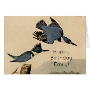 Audubon Belted Kingfisher Wildlife Bird