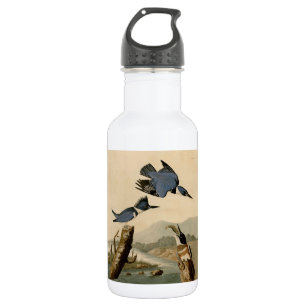 Audubon Belted Kingfisher Wildlife Bird Edelstahlflasche